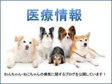 医療情報