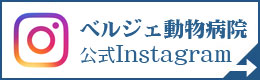 ベルジェ動物病院公式Instagram