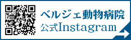 ベルジェ動物病院公式Instagram