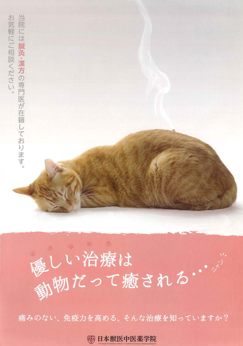 日本獣医中医薬学院