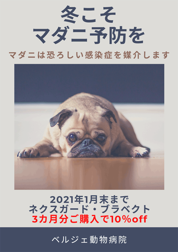 ダニが媒介するSFTS（重症熱性血小板減少症候群）が全国的に広がっています。