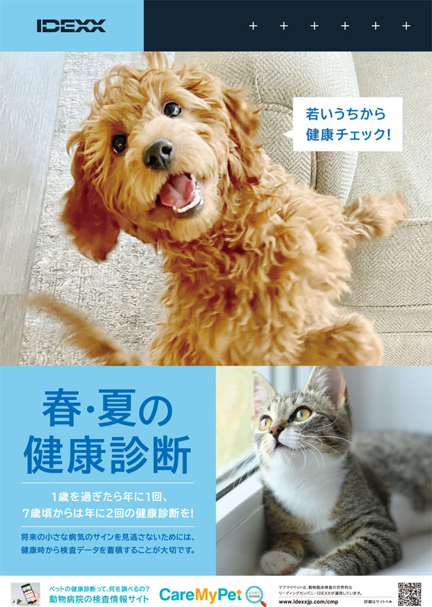春・夏の健康診断（2025.3）