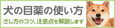 犬の目薬（点眼薬）の使い方