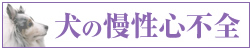 犬の慢性心不全