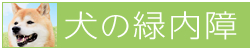 犬の緑内障