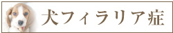 犬のフィラリア症