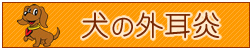 犬の外耳炎