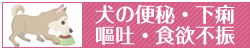 犬の便秘・下痢・嘔吐・食欲不振