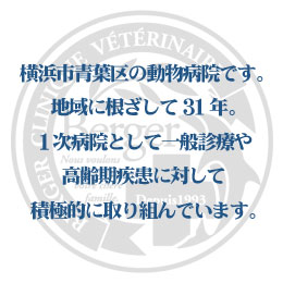 横浜市青葉区の動物病院です。地域に根ざして31年。１次病院として一般診療や高齢期疾患に対して積極的に取り組んでいます。