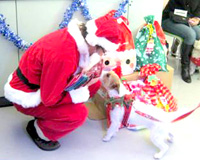 クリスマス会